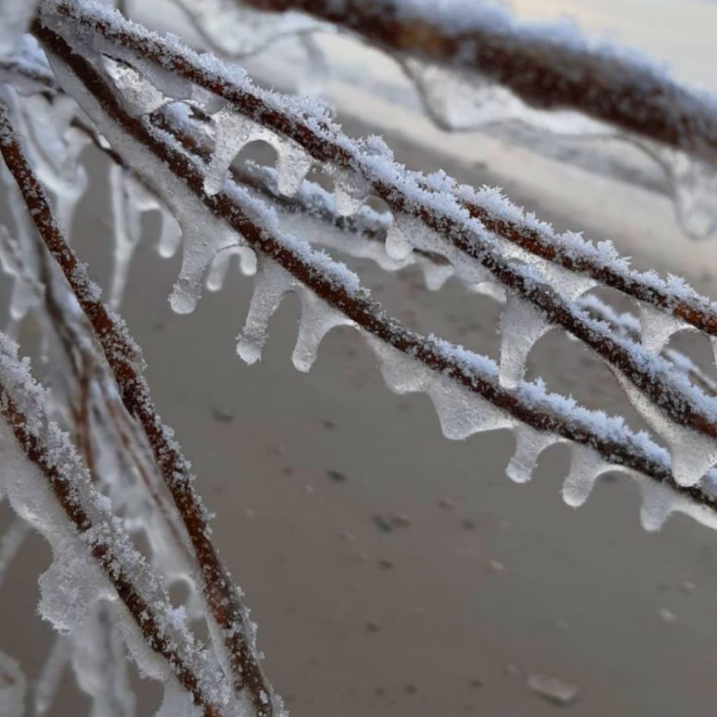 Dzive-bez-koksnes-fons